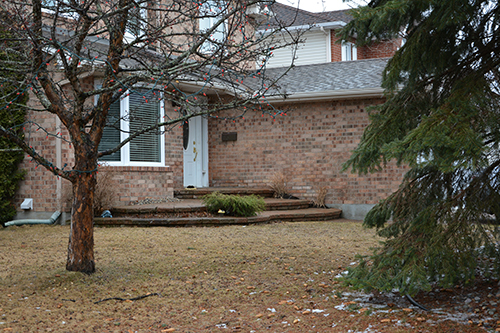 Spalling brick repair Ottawa - project 14