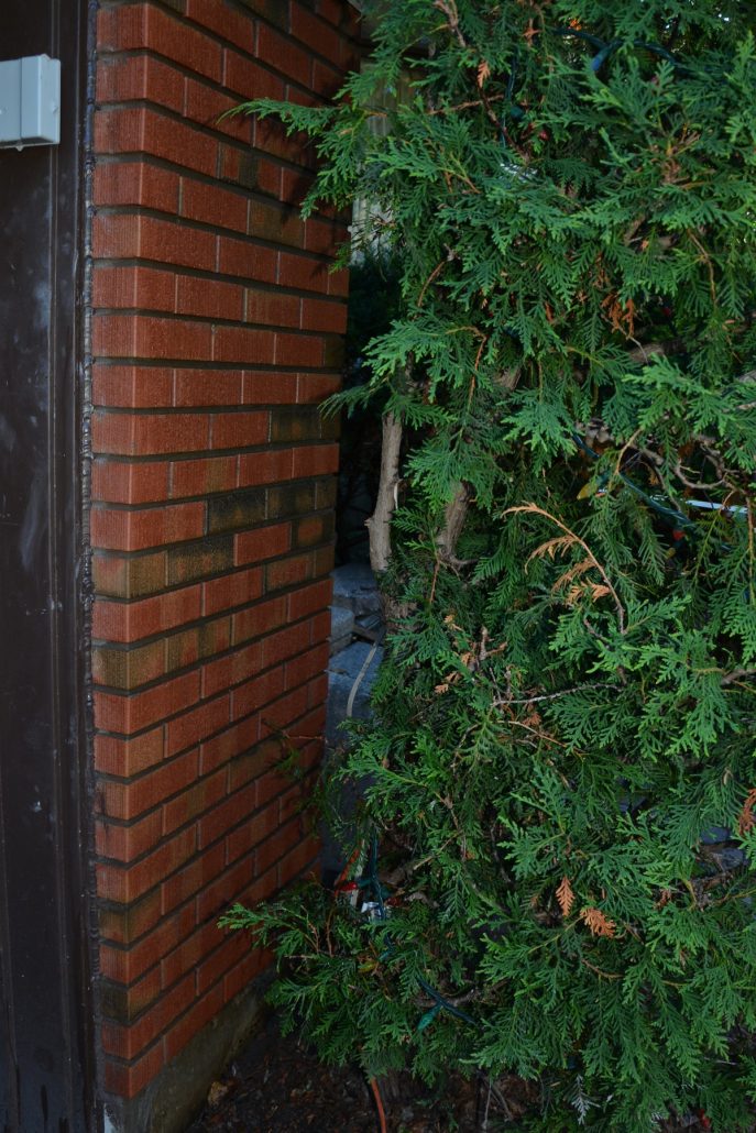 Spalling brick repair Ottawa - project 50