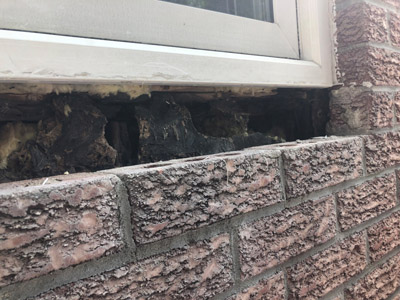 Window sill replacement Ottawa - project 15